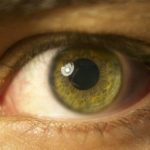 Sailing Tips for Beginners