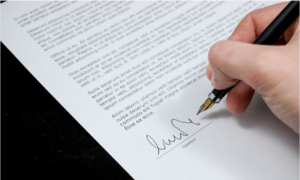 business formation document