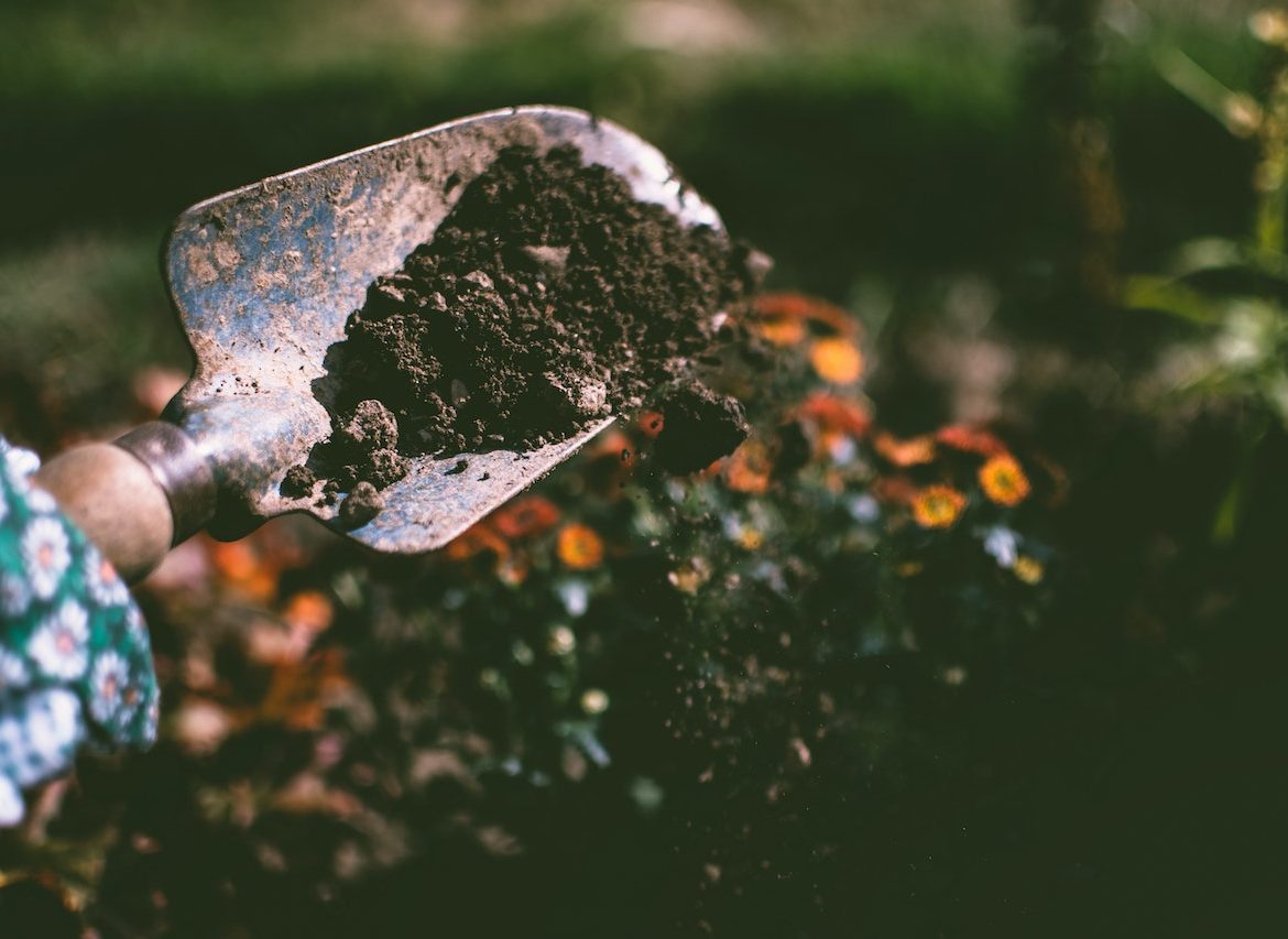 soil
