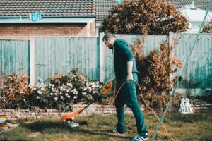 lawn
