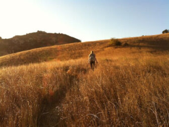 trails